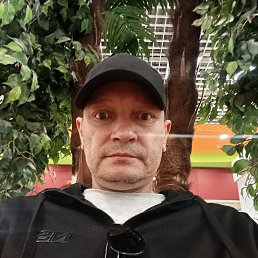 ��������, 40 ���, ������