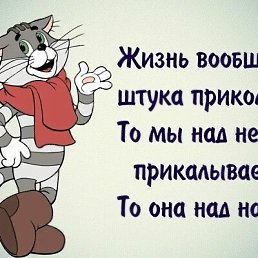 ���� �����, ����, 66 ��� - ��������� 8 ���� 2026