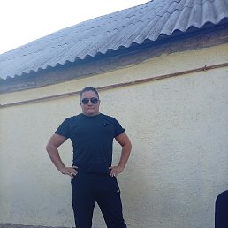 , 41, 