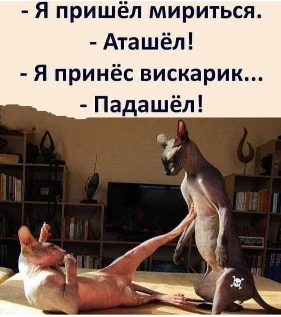   - 19  2024  19:50