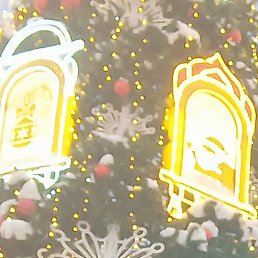 ��������, �����������, 36 ���