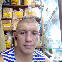  , 31, 
