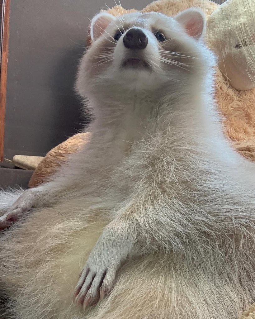   -,   .        ,  ... - 5