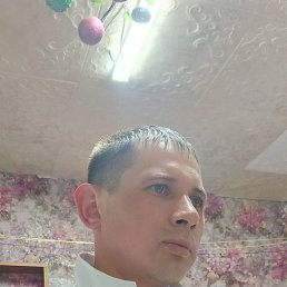 ������, 37 ���, ������������