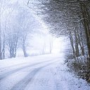 ���� �����, ����, 40 ��� - ��������� 3 ������� 2024 � ������ ����� 2024 (3.12.2024 // 0:49)�