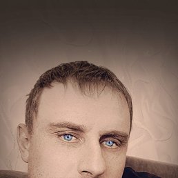 , 41, 