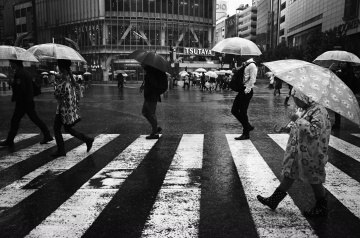 ������ �����. ����� ZTC (Zebra the City, ����� �����).Tadashi Onishi � �������� ��������, ������� � ... - 7