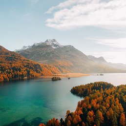 ��������, ������, 48 ���