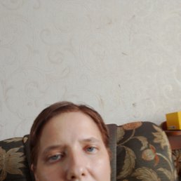 ���� ������������ ��� ��������, ��������, 45 ��� - ��������� 23 ������ 2024