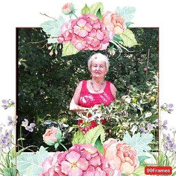 , 66, 