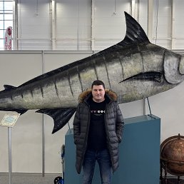 , 40 , 