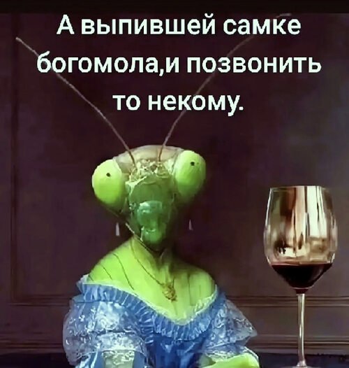 Всё будет хорошо! - 27 мая 2025 в 14:51