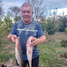 �����, 61 ���, ����������