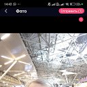 ���� ����, ������, 49 ��� - ��������� 25 ����� 2024 � ������ ���� ����������