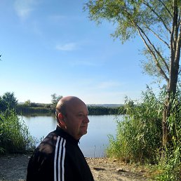 �����, ������, 54 ����