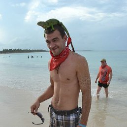 ���������, ���������, 45 ���