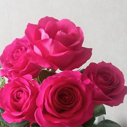 ����� )))������� �� ���������! �� �����., �����������, 63 ����