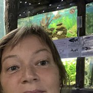 , 41 , 