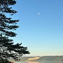 ���� ����������, ������, 35 ��� - ��������� 11 ��� 2025 � ������ ��������