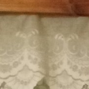 �����, 41 ���, ������