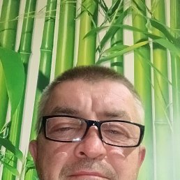 , 48 , 