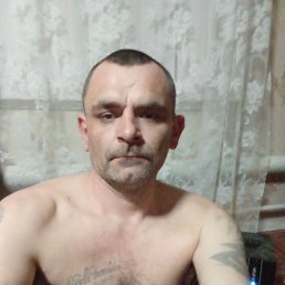 , 37, 
