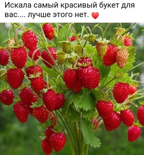 ��� ���� - 19 ������ 2026 � 15:47
