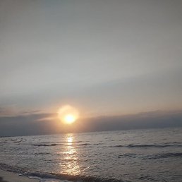 ���������, ��������, 38 ���