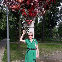 ���� �������, �������, 70 ��� - ��������� 6 ����� 2024