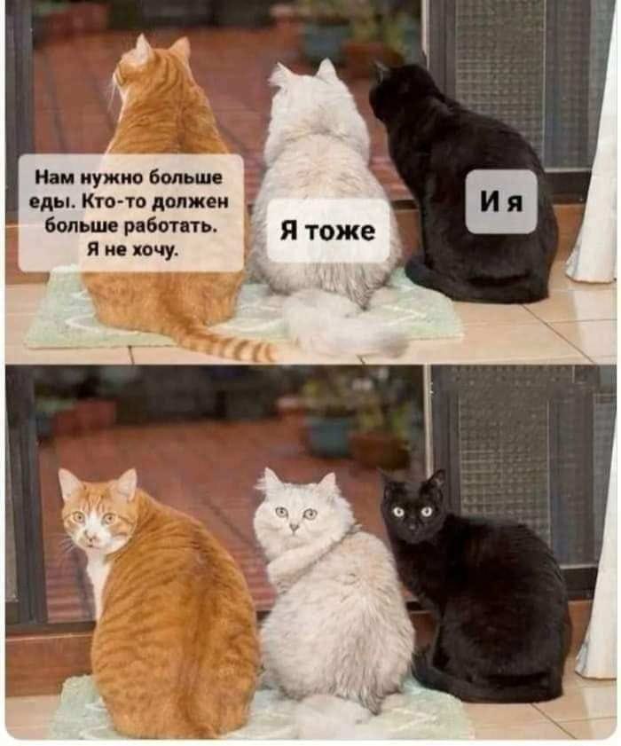   - 13  2024  11:41