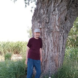 �������, ������, 60 ���