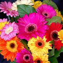 ���� ����, ������������, 25 ��� - ��������� 8 ������ 2025 � ������ ���� ����������