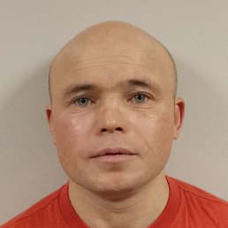 ����, ������, 40 ���