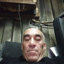 , 52, 