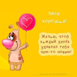 ���� ����, ������, 40 ��� - ��������� 16 ���� 2026