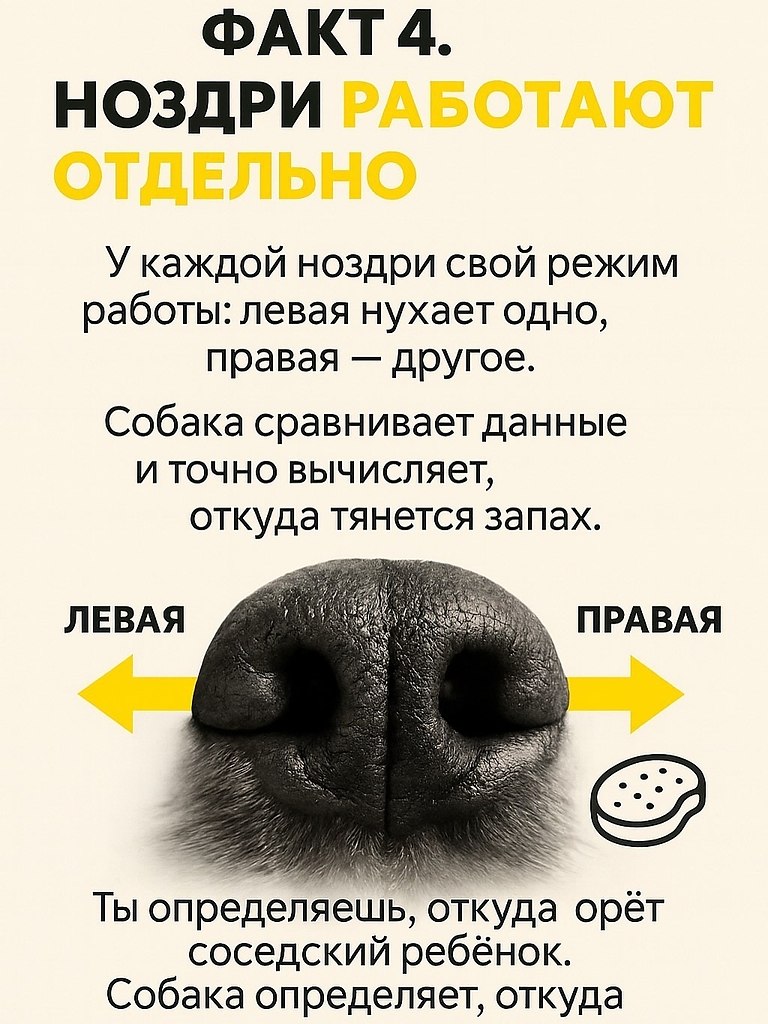       , Google       .    ... - 5