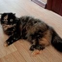 ���� �������, ������, 43 ���� - ��������� 28 ������� 2024