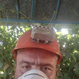 , 40, 