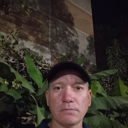 , 42, 