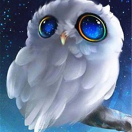 ���������, �����, 36 ���