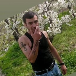 , 41, 