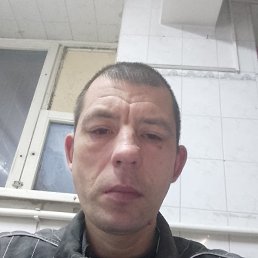 ������, ������, 44 ����