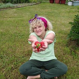 �����, ���������, 62 ����