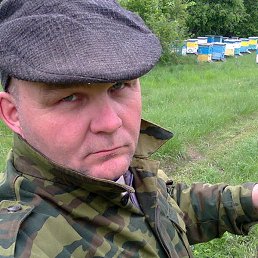 �����, ������, 54 ����