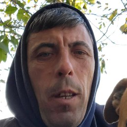 ����, �������, 46 ���