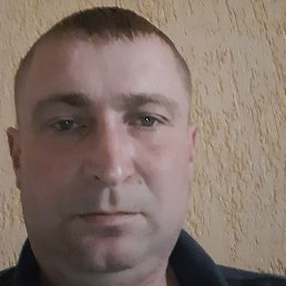 ������ ������������, �����, 41 ���