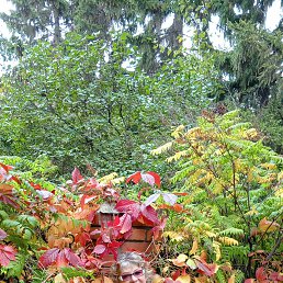 ���� �����, ����, 58 ��� - ��������� 1 ������ 2026