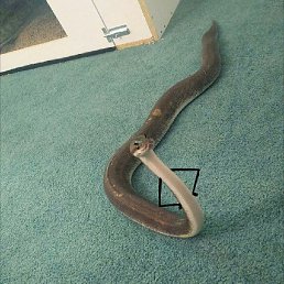 �����, �����, 27 ���