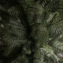 ���� ����, ���������, 54 ���� - ��������� 3 ������� 2024 � ������ ���� ����������