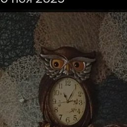 �����, ����, 43 ����